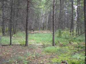 Naturist Legacy History: Gallery 01/17...The new land before purchase