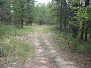 Naturist Legacy History: Gallery 01/21...The new land before purchase