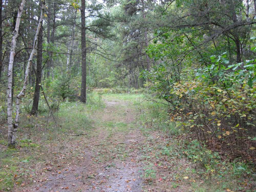 Naturist Legacy History: Gallery 01/26...The new land before purchase