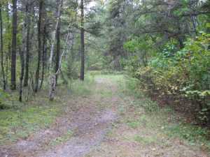 Naturist Legacy History: Gallery 01/28...The new land before purchase