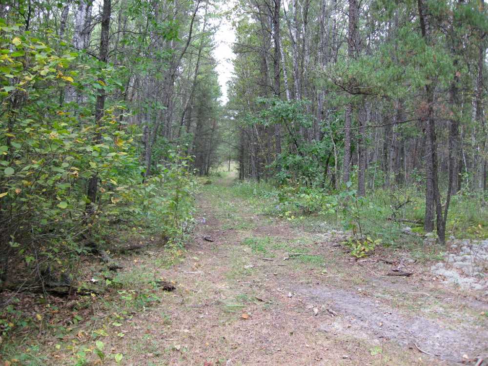 Naturist Legacy History: Gallery 01/29...The new land before purchase