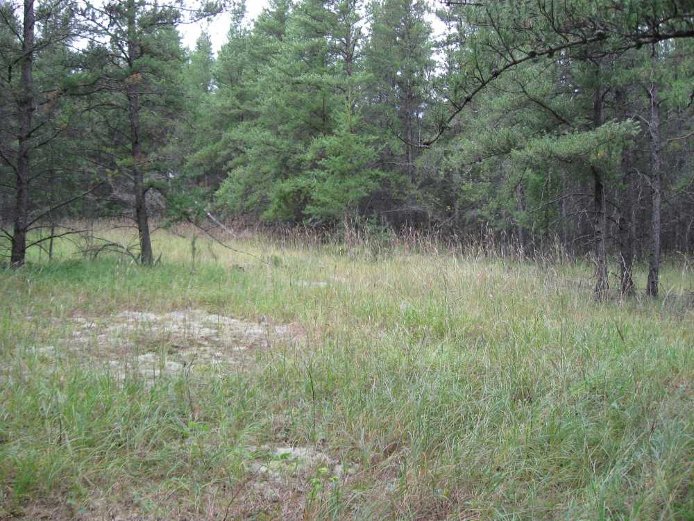 Naturist Legacy History: Gallery 01/31...The new land before purchase