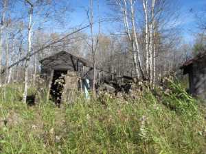 Naturist Legacy History: Gallery 02/25...Clearing roads and land