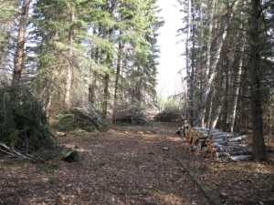 Naturist Legacy History: Gallery 03/06...Clearing the Hydro line corridor