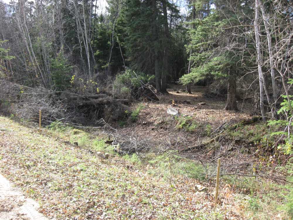 Naturist Legacy History: Gallery 03/09...Clearing the Hydro line corridor