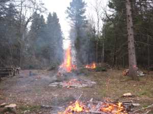 Naturist Legacy History: Gallery 03/17...Clearing the Hydro line corridor
