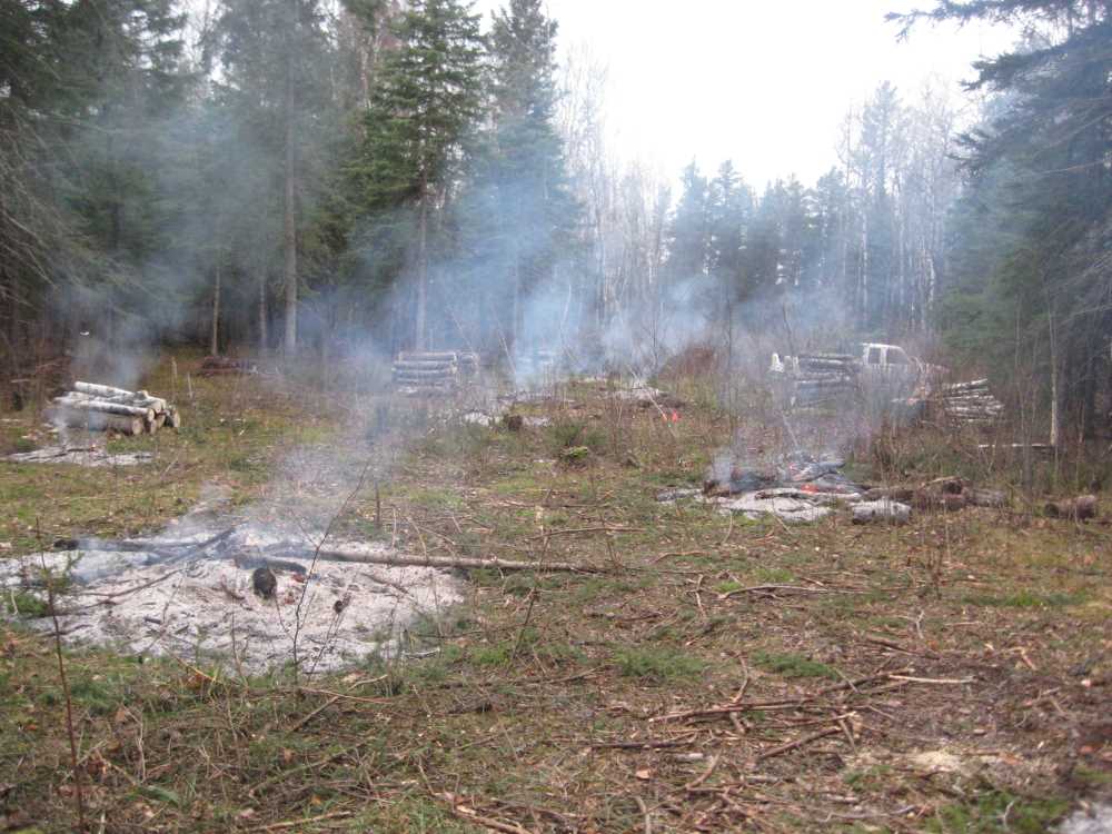 Naturist Legacy History: Gallery 03/19...Clearing the Hydro line corridor