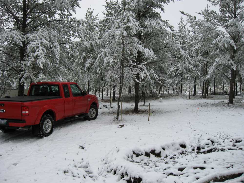 Naturist Legacy History: Gallery 03/21...Clearing the Hydro line corridor