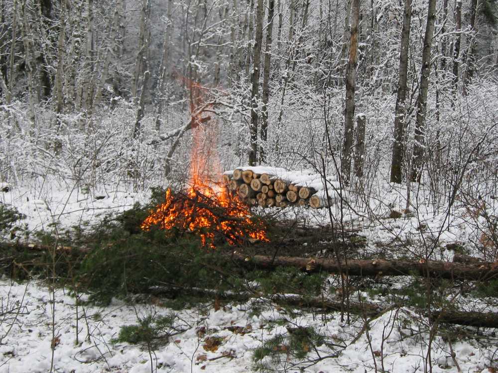Naturist Legacy History: Gallery 03/25...Clearing the Hydro line corridor