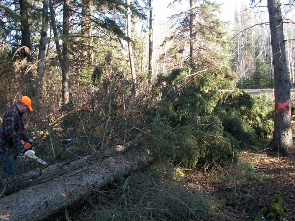 Naturist Legacy History: Gallery 03/35...Clearing the Hydro line corridor