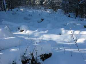 Naturist Legacy History: Gallery 05/05...The new land under December snow