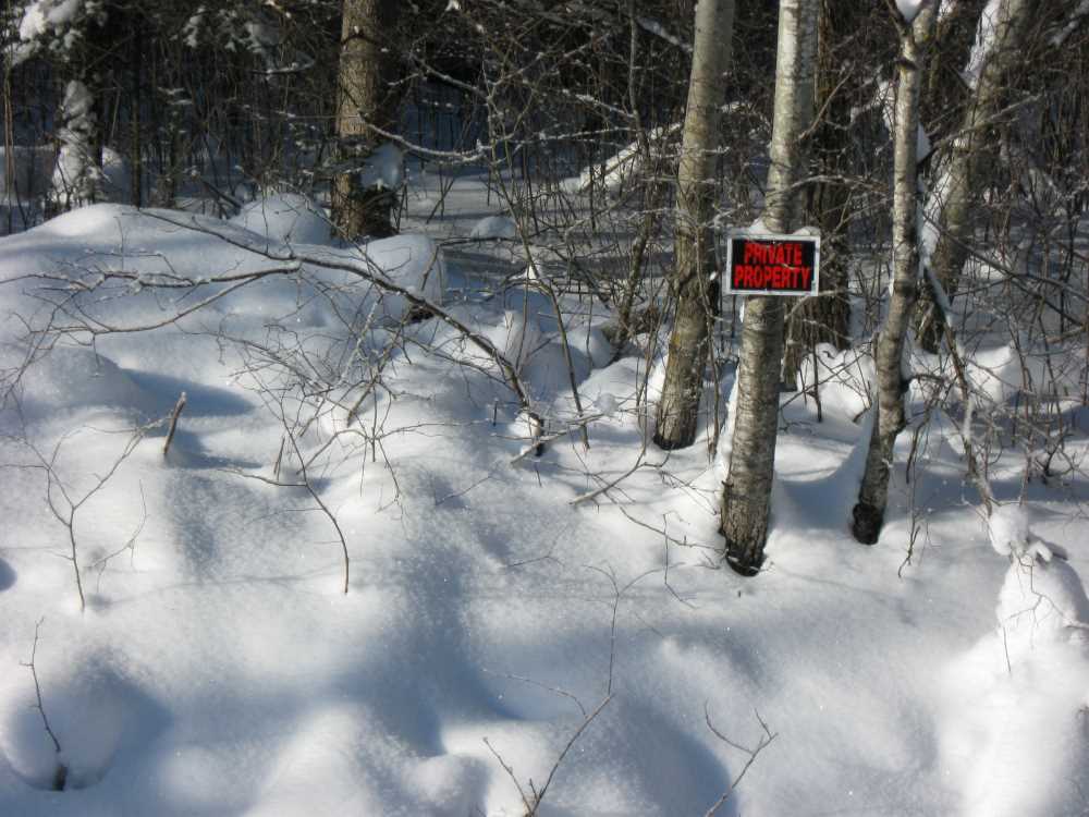 Naturist Legacy History: Gallery 05/06...The new land under December snow
