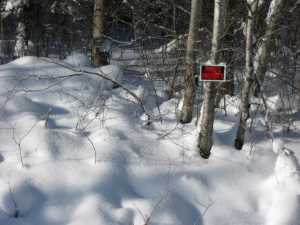 Naturist Legacy History: Gallery 05/06...The new land under December snow