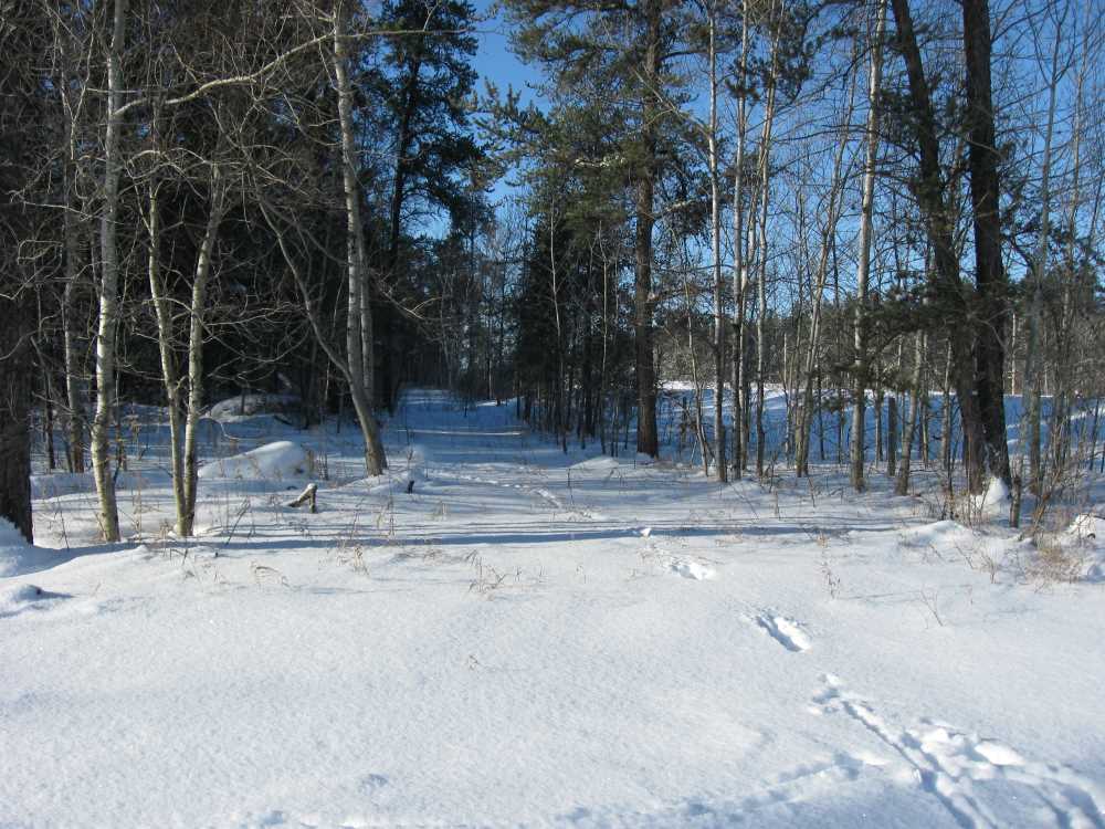 Naturist Legacy History: Gallery 05/14...The new land under December snow
