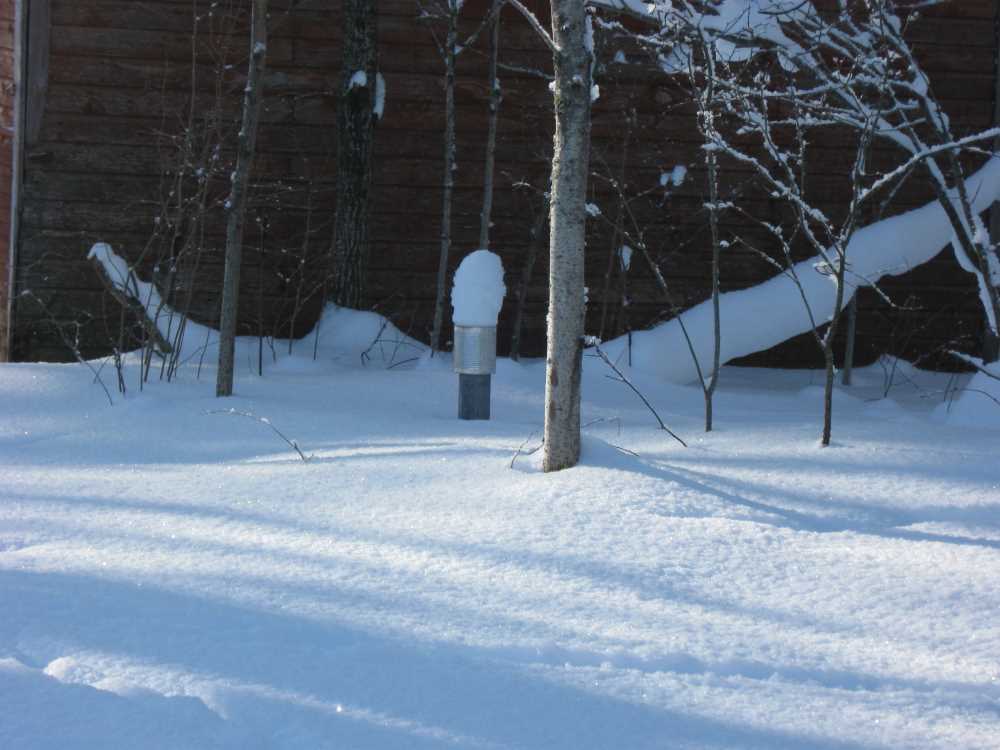 Naturist Legacy History: Gallery 05/18...The new land under December snow