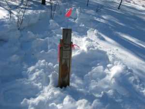 Naturist Legacy History: Gallery 06/04...Hydro tries winter pole installation