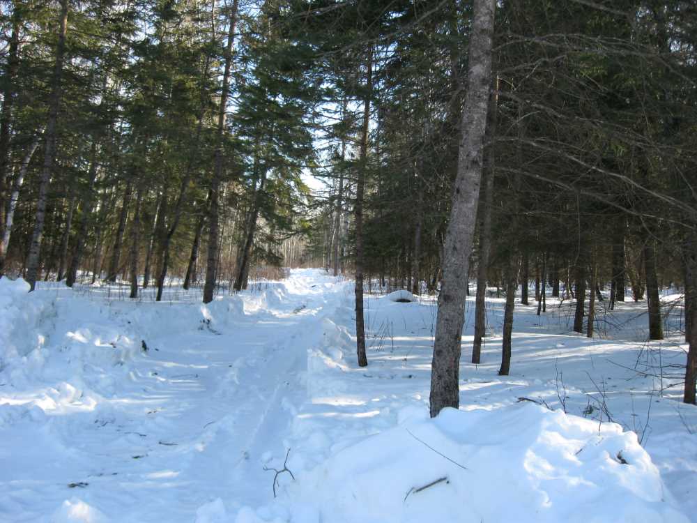 Naturist Legacy History: Gallery 06/07...Hydro tries winter pole installation