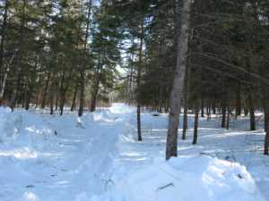 Naturist Legacy History: Gallery 06/07...Hydro tries winter pole installation
