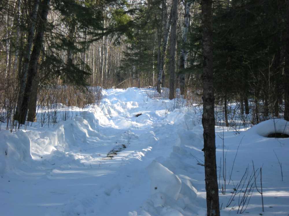 Naturist Legacy History: Gallery 06/08...Hydro tries winter pole installation