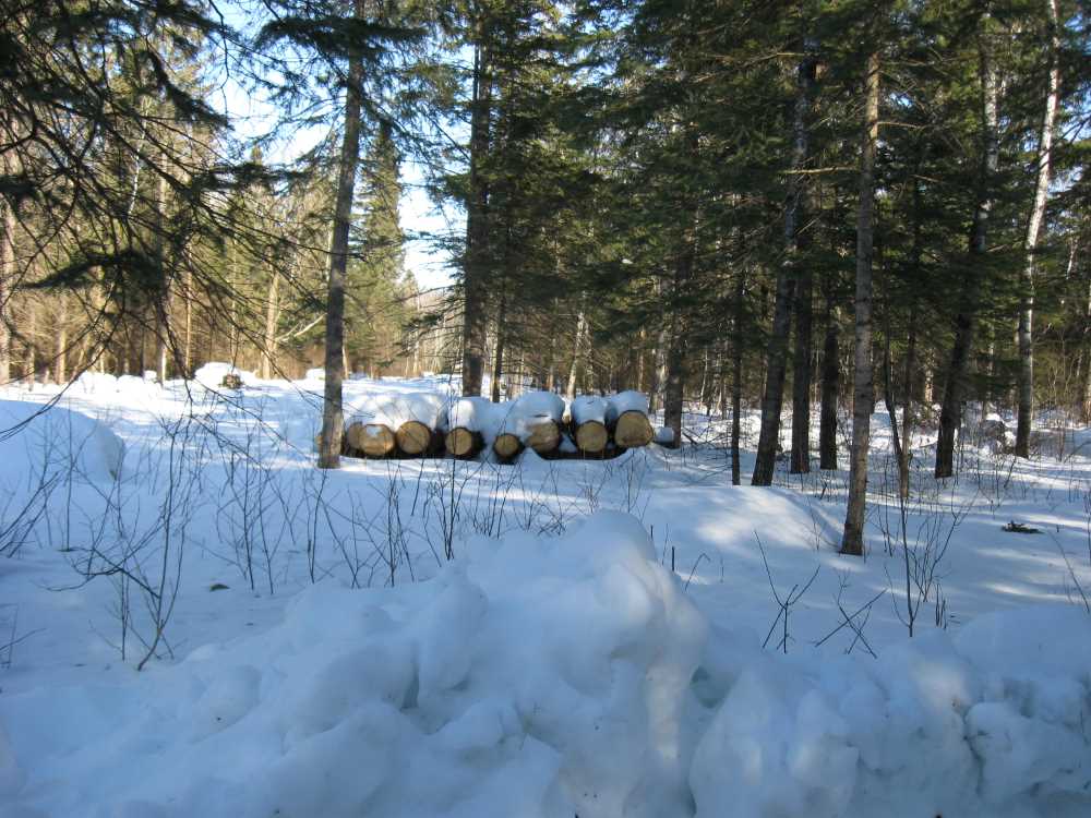 Naturist Legacy History: Gallery 06/09...Hydro tries winter pole installation
