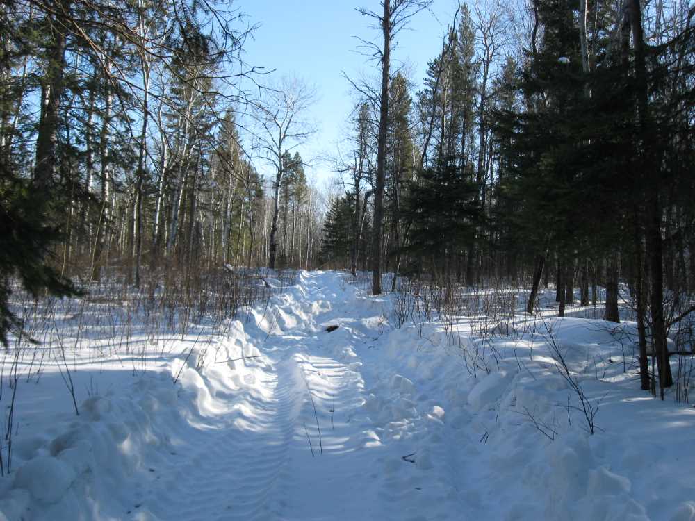 Naturist Legacy History: Gallery 06/10...Hydro tries winter pole installation
