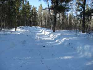 Naturist Legacy History: Gallery 06/22...Hydro tries winter pole installation