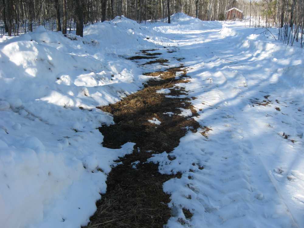 Naturist Legacy History: Gallery 06/24...Hydro tries winter pole installation