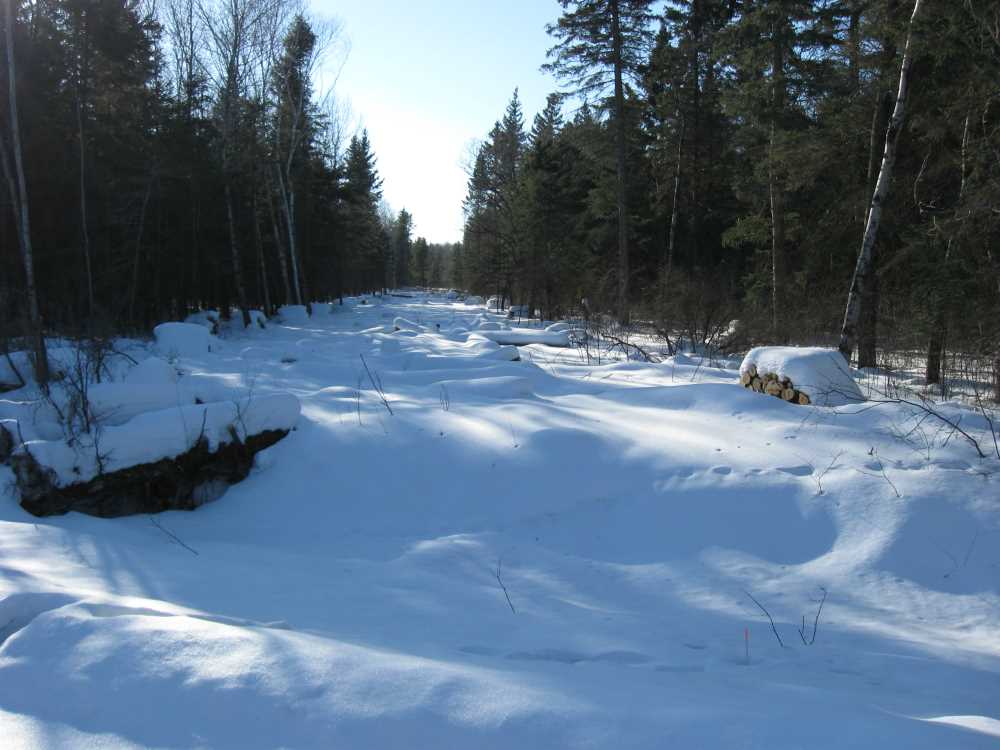 Naturist Legacy History: Gallery 06/30...Hydro tries winter pole installation