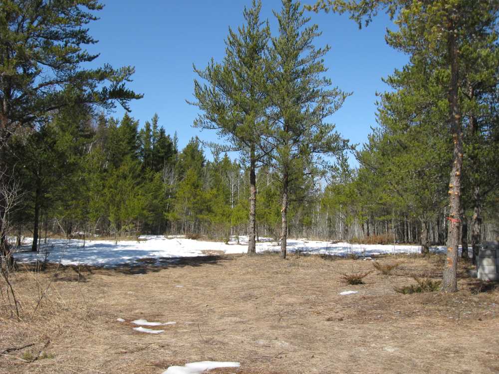 Naturist Legacy History: Gallery 07/02...Our first spring at Naturist Legacy Park