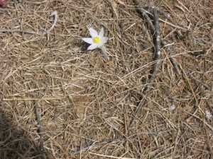 Naturist Legacy History: Gallery 07/05...Our first spring at the new park