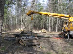 Naturist Legacy History: Gallery 08/04...Hydro installs power line poles