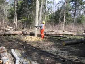 Naturist Legacy History: Gallery 08/21...Hydro installs power line poles