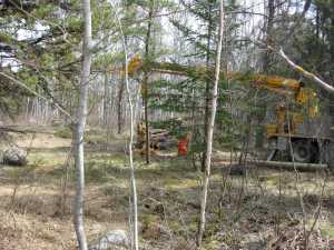 Naturist Legacy History: Gallery 08/32...Hydro installs power line poles