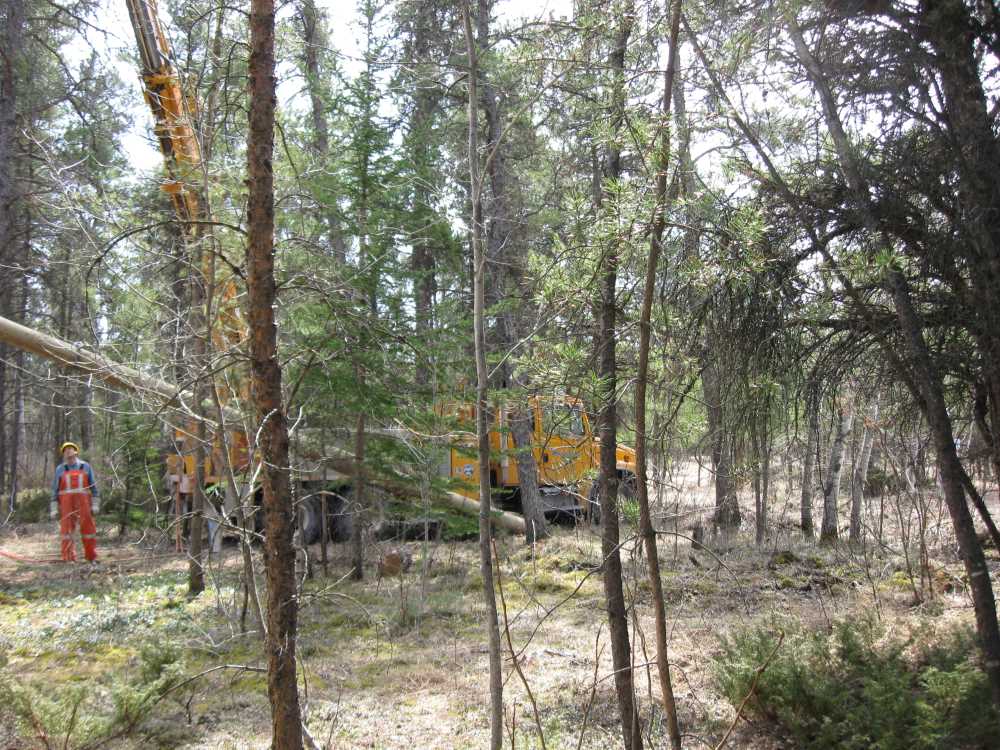 Naturist Legacy History: Gallery 08/34...Hydro installs power line poles