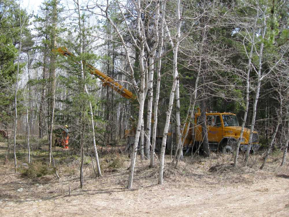 Naturist Legacy History: Gallery 08/36...Hydro installs power line poles