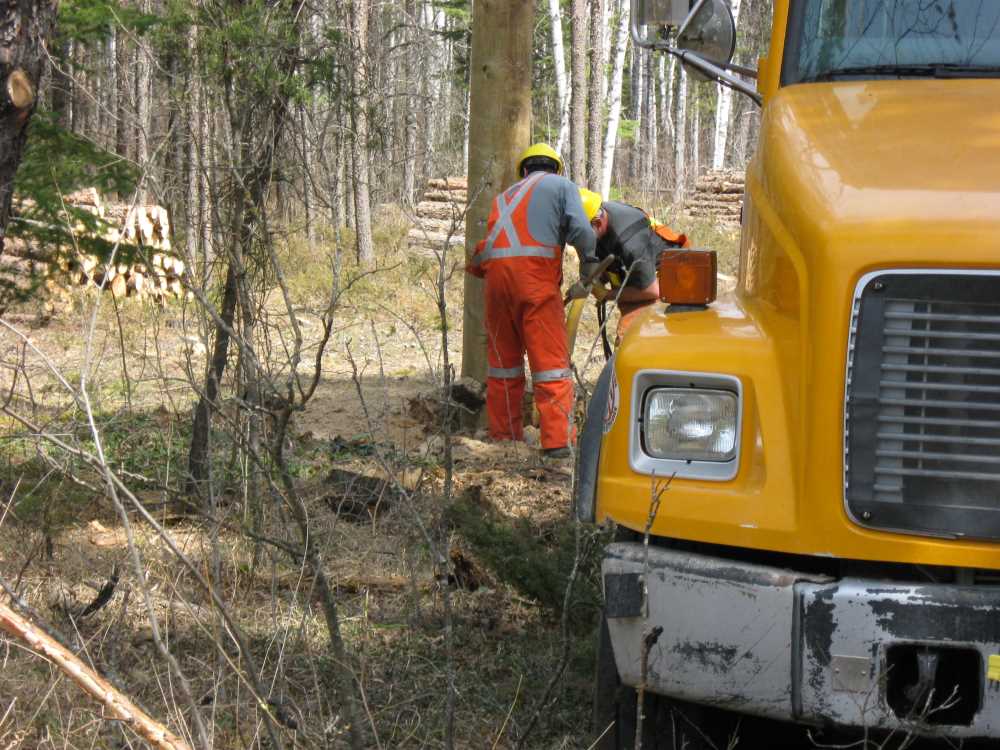 Naturist Legacy History: Gallery 08/39...Hydro installs power line poles