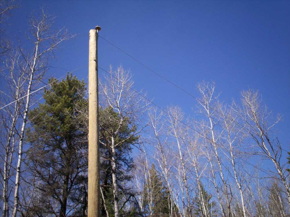 Naturist Legacy History: Gallery 09/09...Hydro installs wires and a transformer