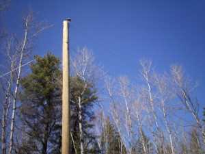 Naturist Legacy History: Gallery 09/09...Hydro installs wires and a transformer
