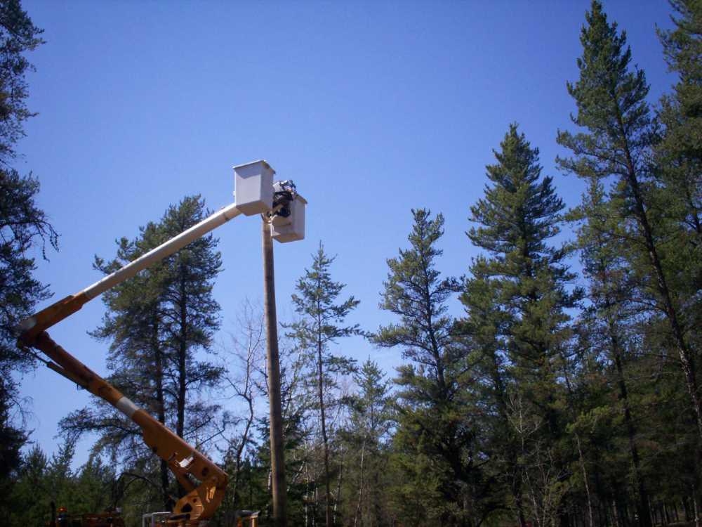 Naturist Legacy History: Gallery 09/14...Hydro installs wires and a transformer