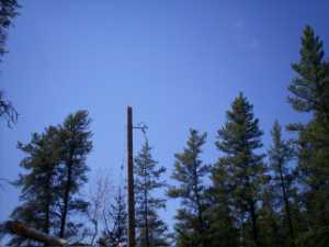 Naturist Legacy History: Gallery 09/20...Hydro installs wires and a transformer
