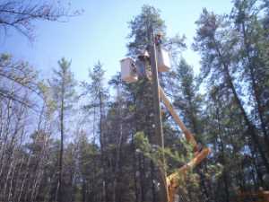 Naturist Legacy History: Gallery 09/24...Hydro installs wires and a transformer