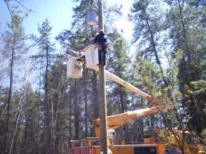 Naturist Legacy History: Gallery 09/27...Hydro installs wires and a transformer