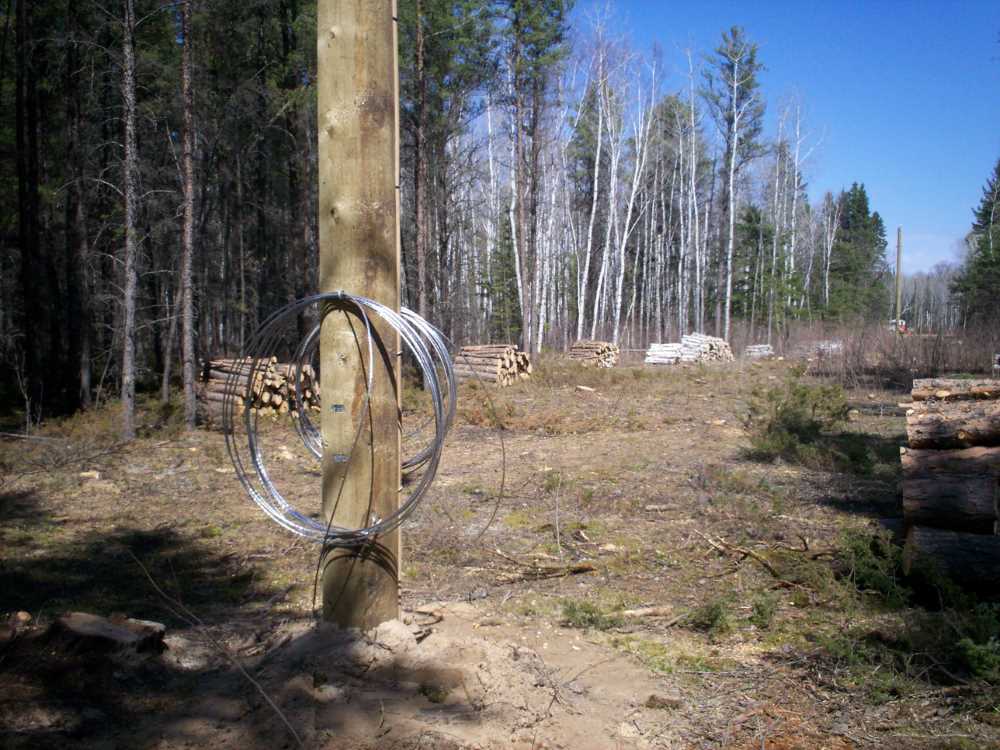 Naturist Legacy History: Gallery 09/28...Hydro installs wires and a transformer