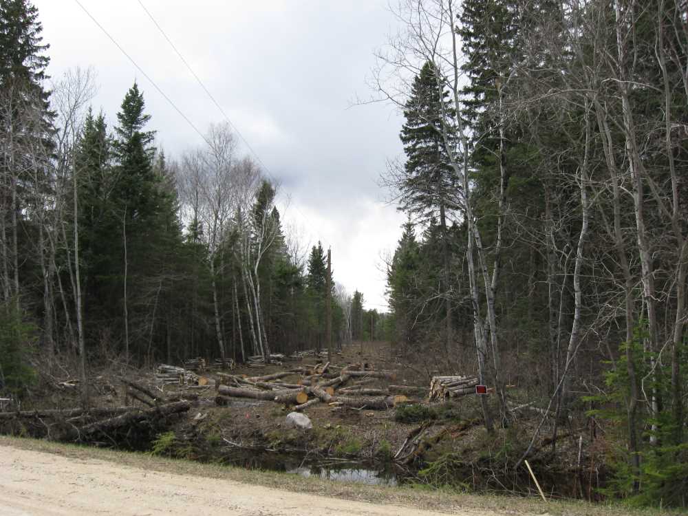 Naturist Legacy History: Gallery 09/33...Hydro installs wires and a transformer