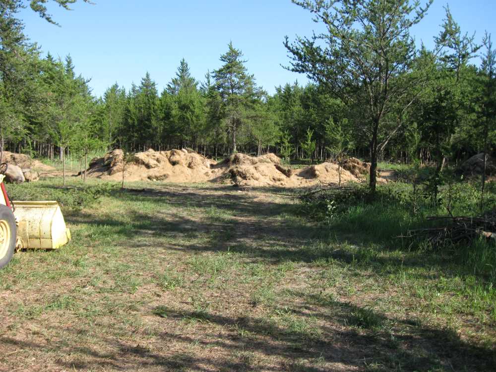 Naturist Legacy History: Gallery 21/01...New volleyball court takes shape