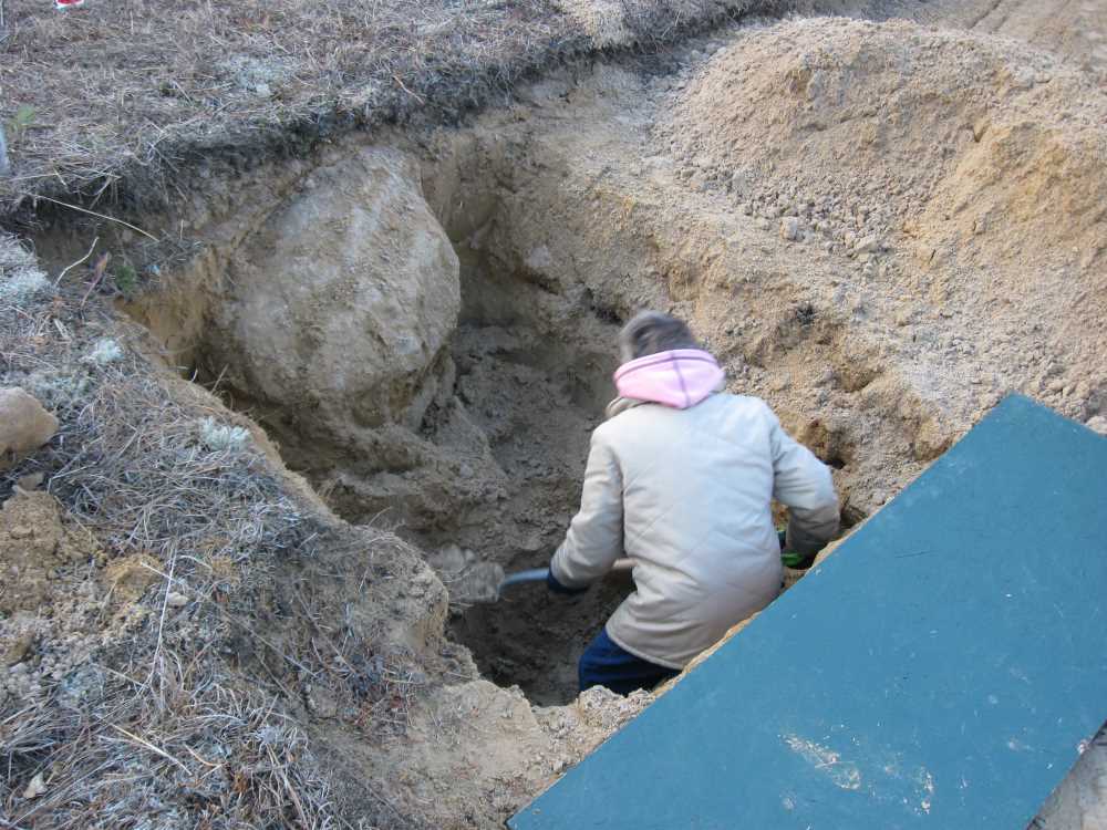Naturist Legacy History: Gallery 21/12...New volleyball court takes shape