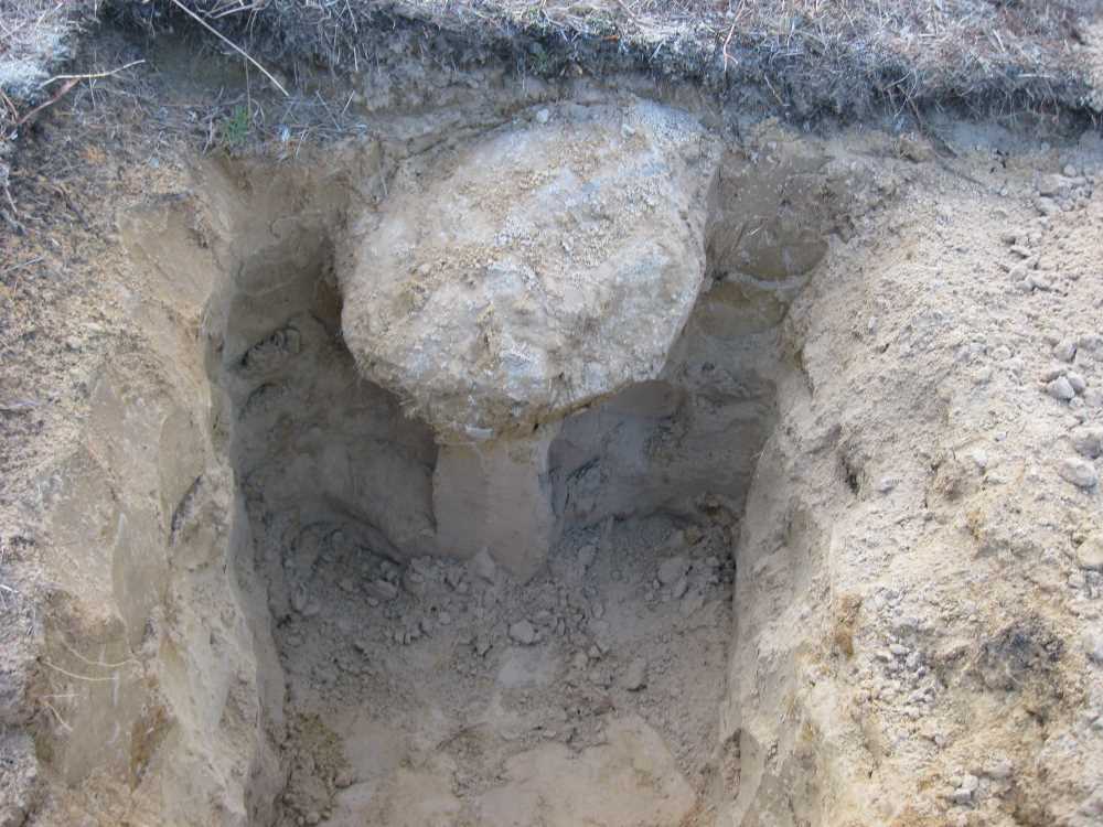 Naturist Legacy History: Gallery 21/16...New volleyball court takes shape