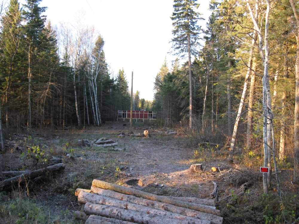 Naturist Legacy History: Gallery 22/05...First year of development ends