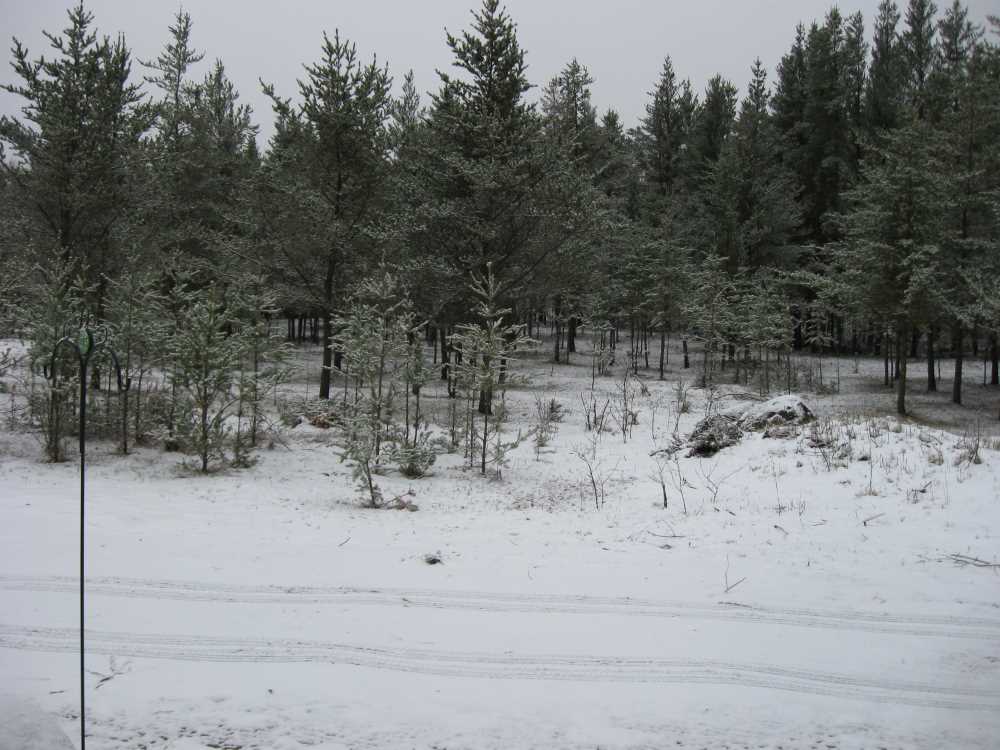Naturist Legacy History: Gallery 22/08...First year of development ends