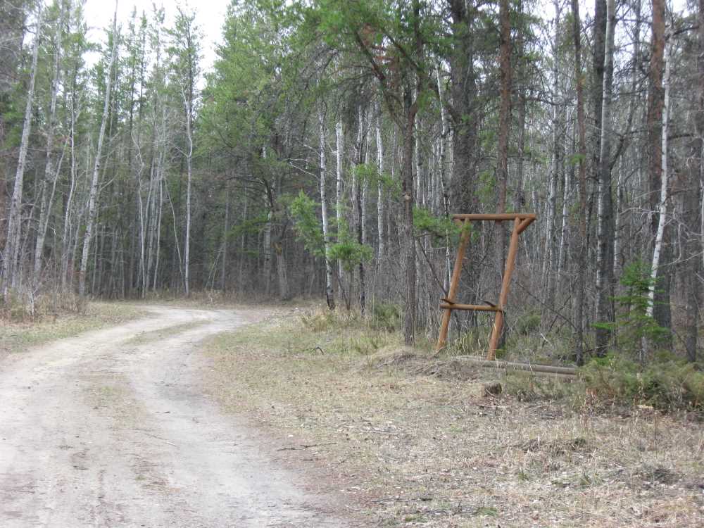 Naturist Legacy History: Gallery 23/02...An early resumption of construction